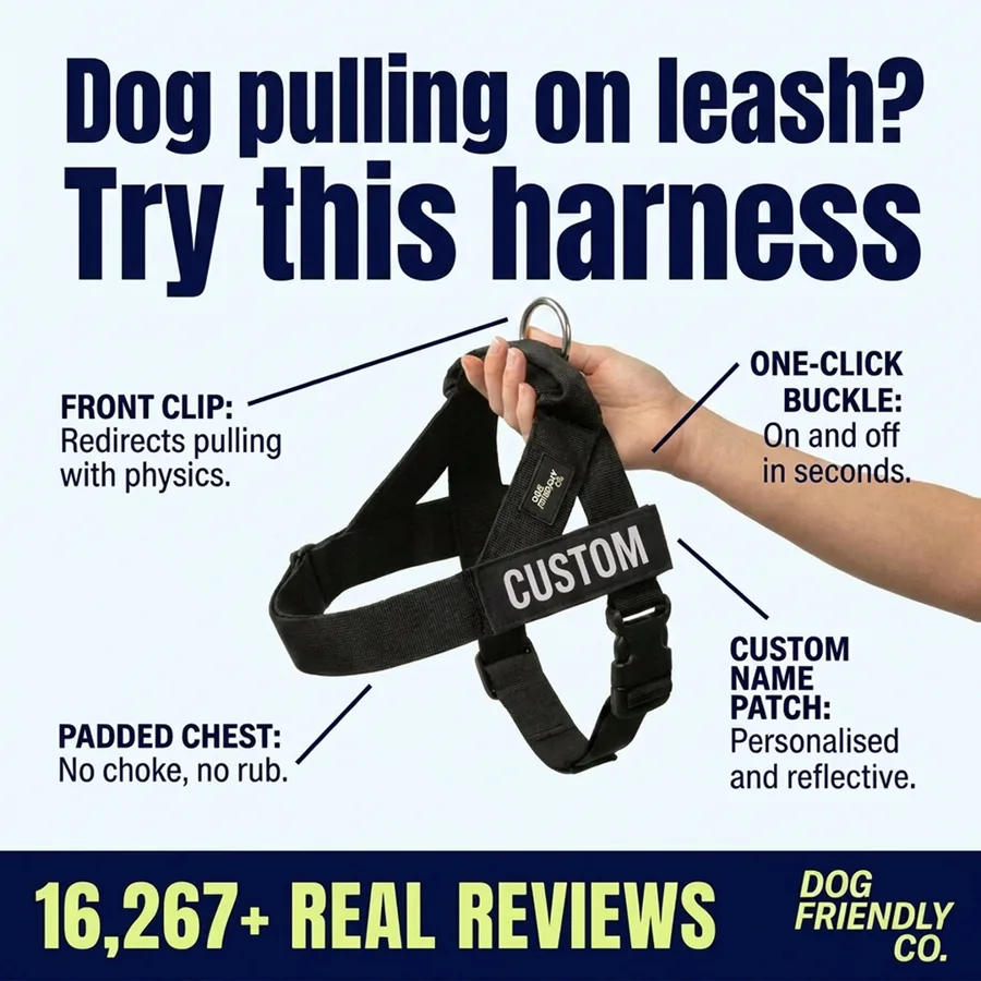 The harness held in a hand with feature callouts and a reviews strip