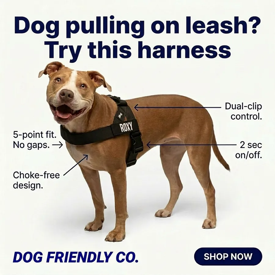 A dog wearing the harness with feature callouts