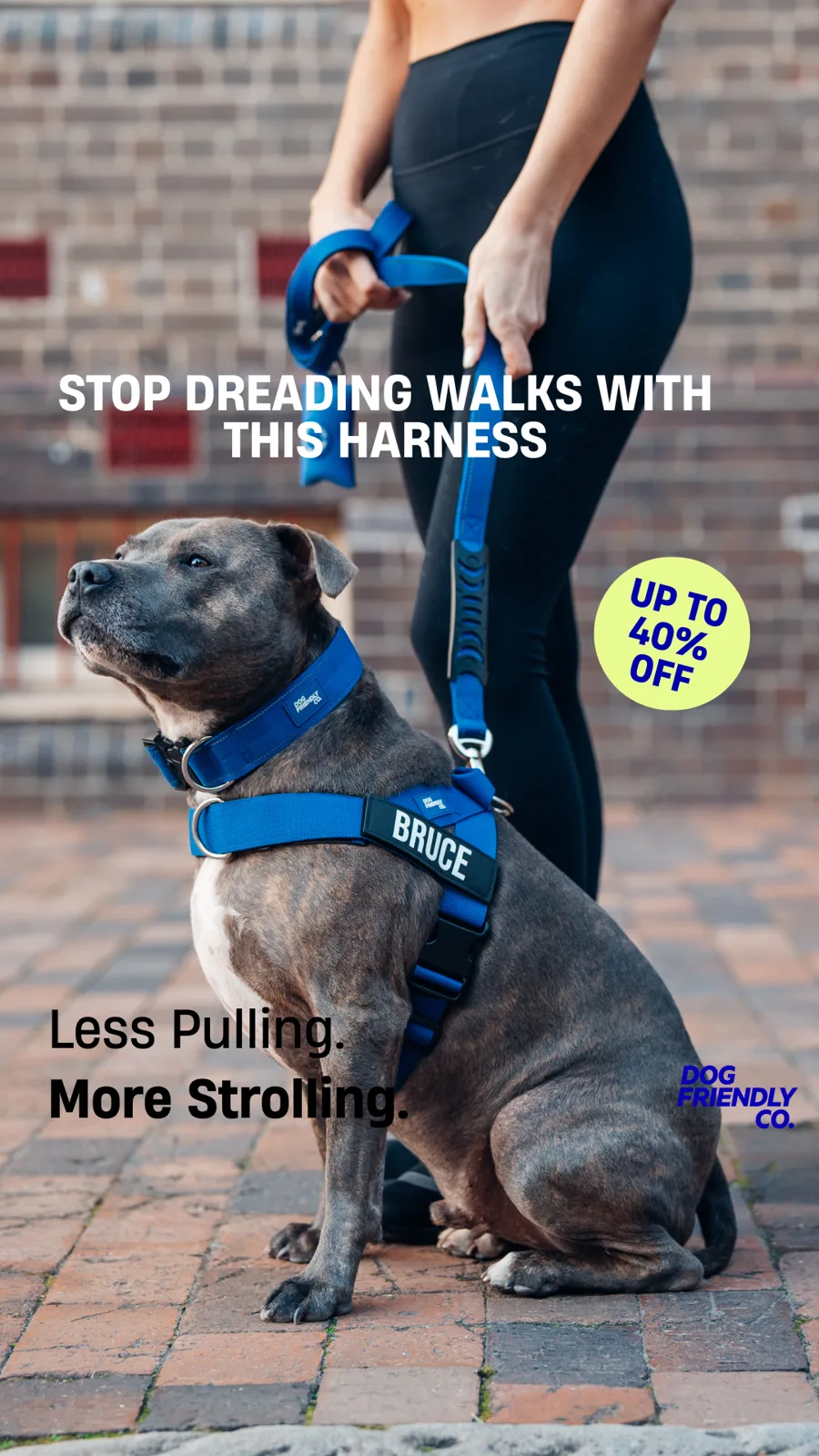Headline: Stop dreading walks with this harness